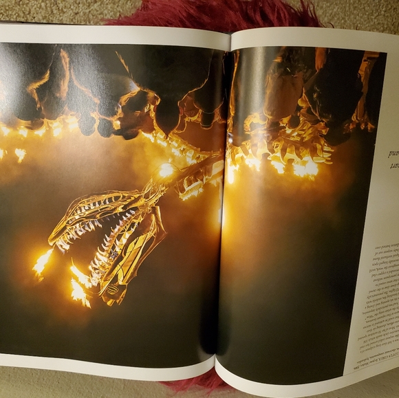 New / Fine Cond. Coffee Table Art Book Burning Man - Picture 8 of 9
